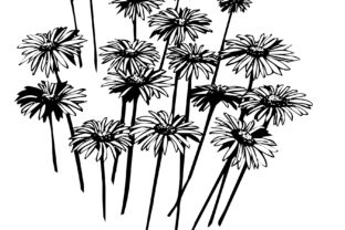 Daisies Embroidery Design Review