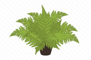 Floral Design Ferns for Modern Web and Editorial Use